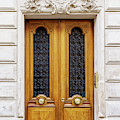 Classic Paris Doors